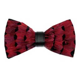 Man Pre-tied Feather Handmade Bow Tie 1