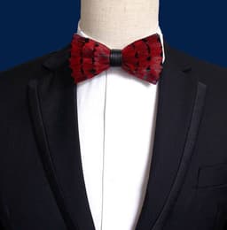 Man Pre-tied Feather Handmade Bow Tie 5